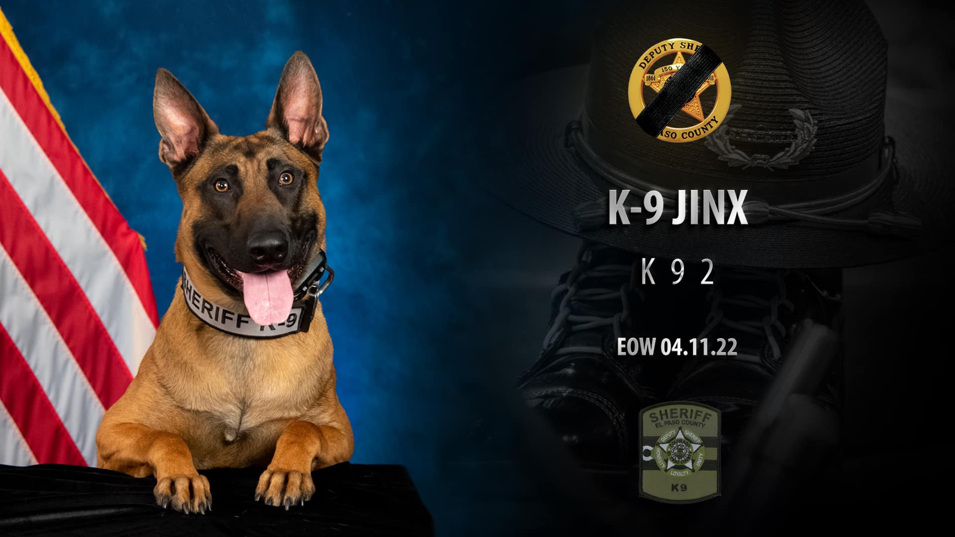 Fallen K9 Jinx