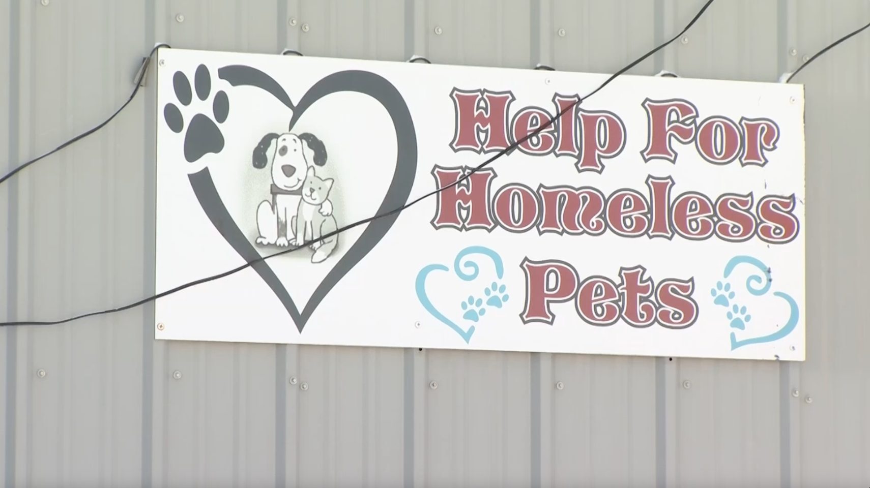 Help for Homeless Pets animal shelter 