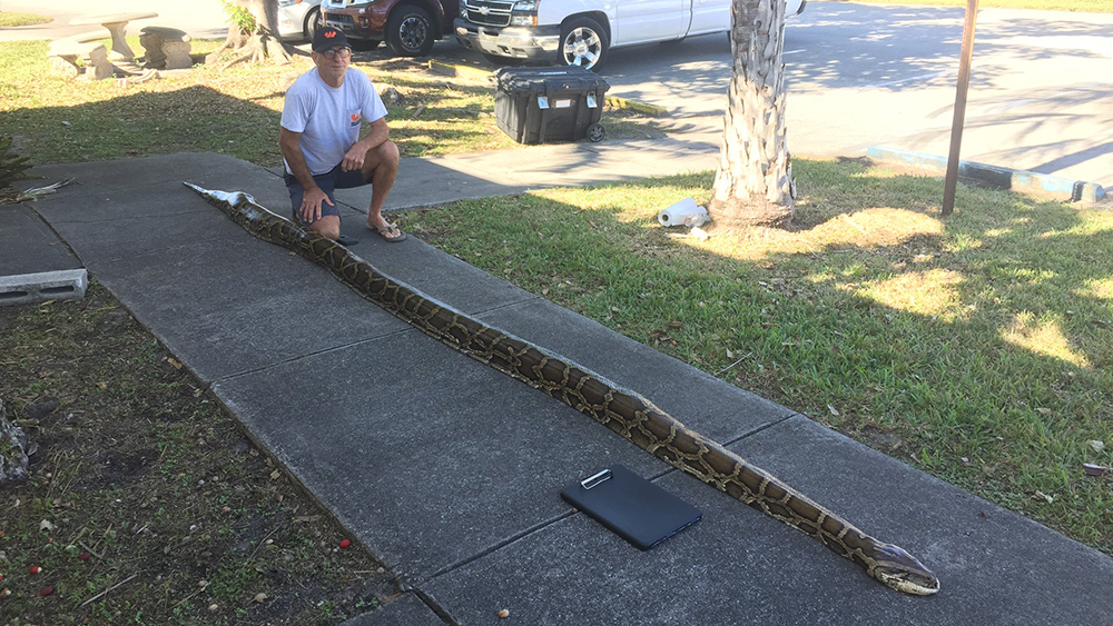 WPTV-FWC-PYTHON.jpg