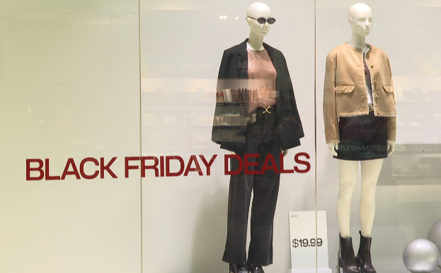 Screenshot 2025-11-26 131522.png