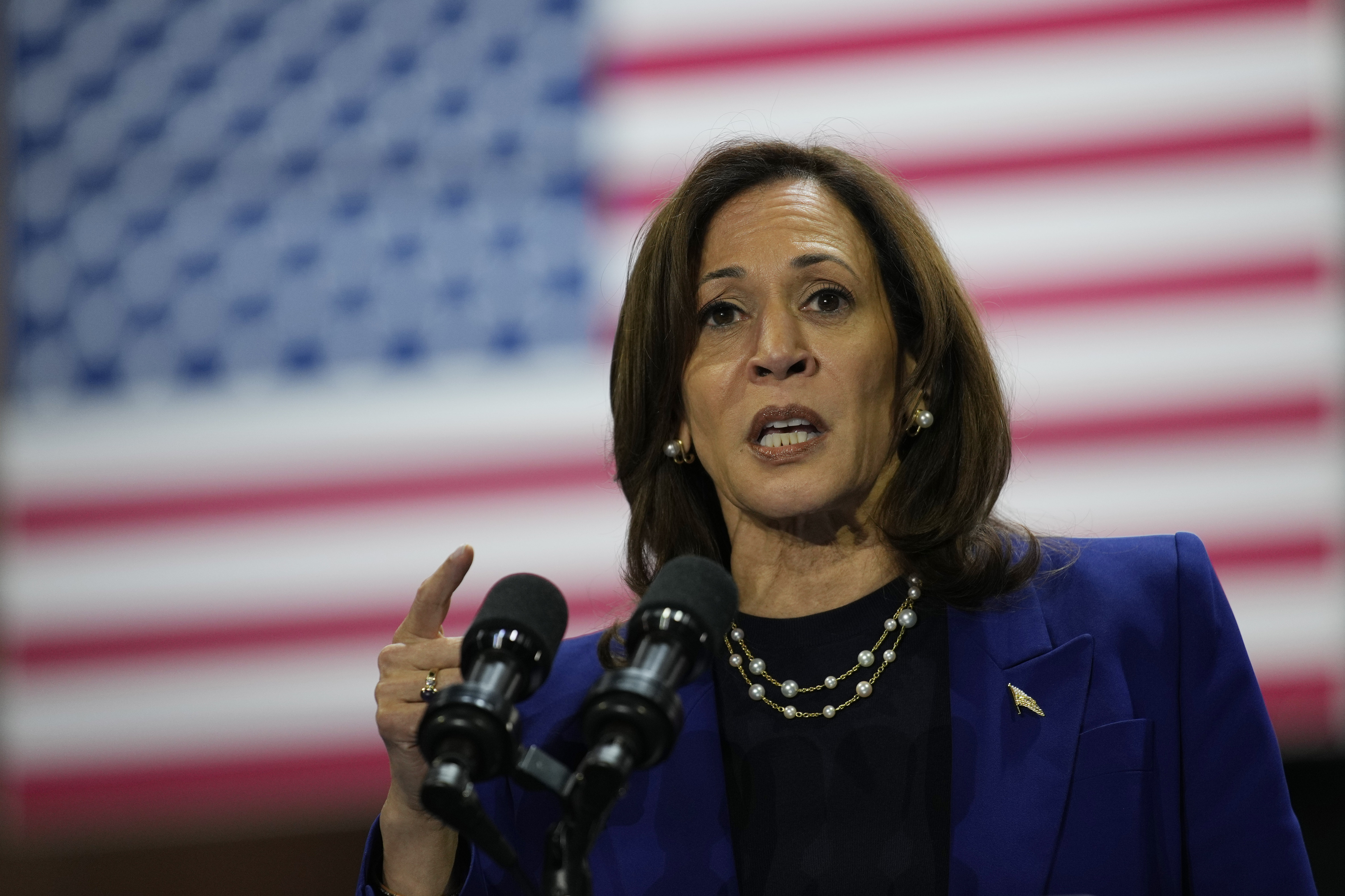 Election 2024 Harris