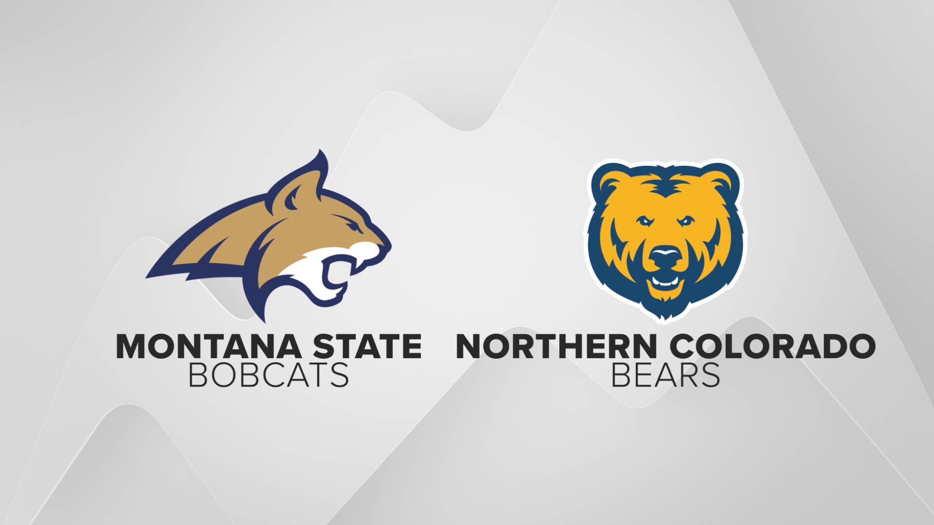 Cats Northern Colorado.png