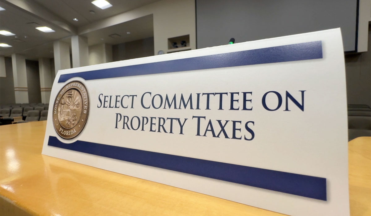 Select Committee on Property Taxes 