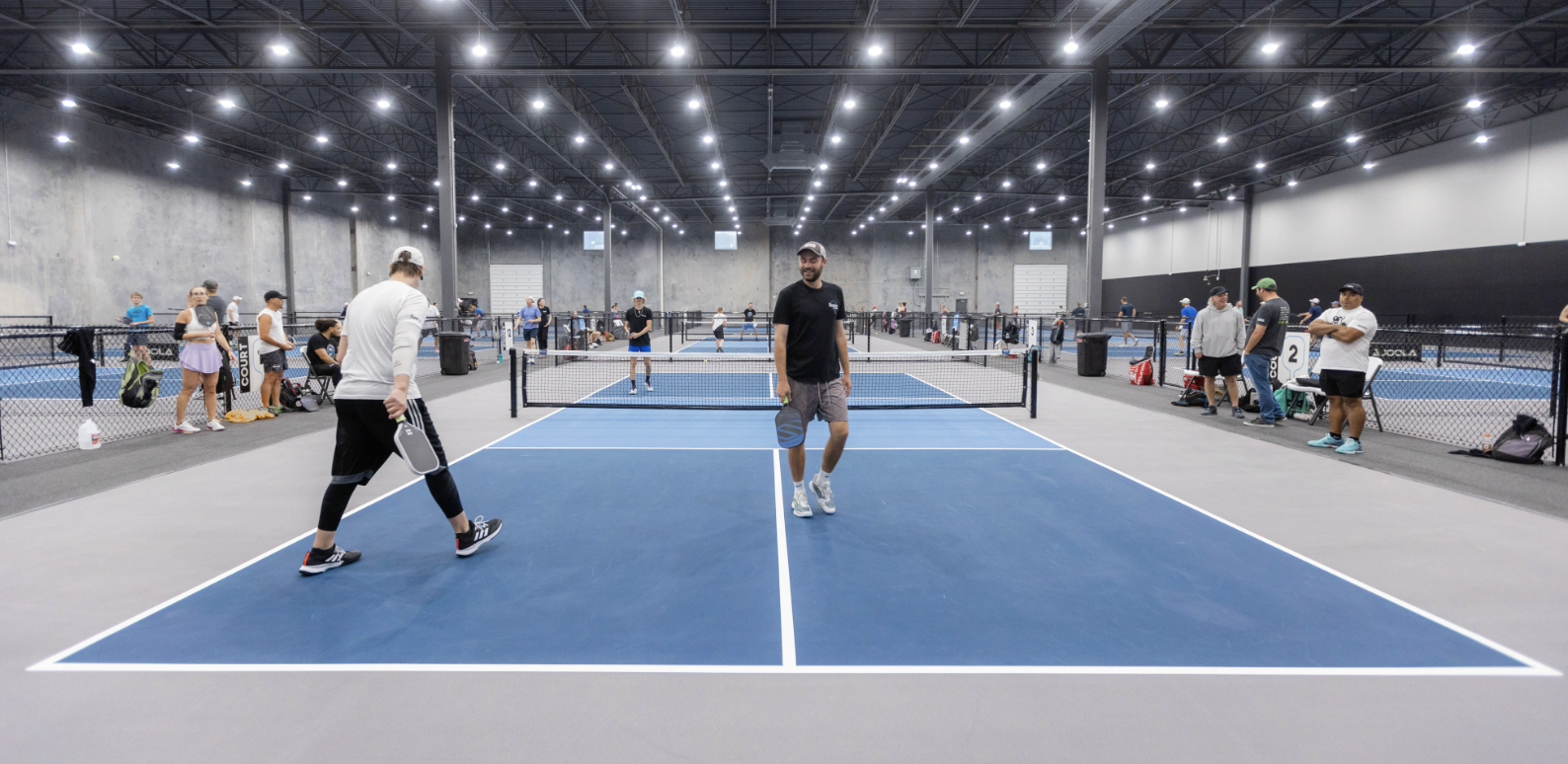 The picklr pickleball