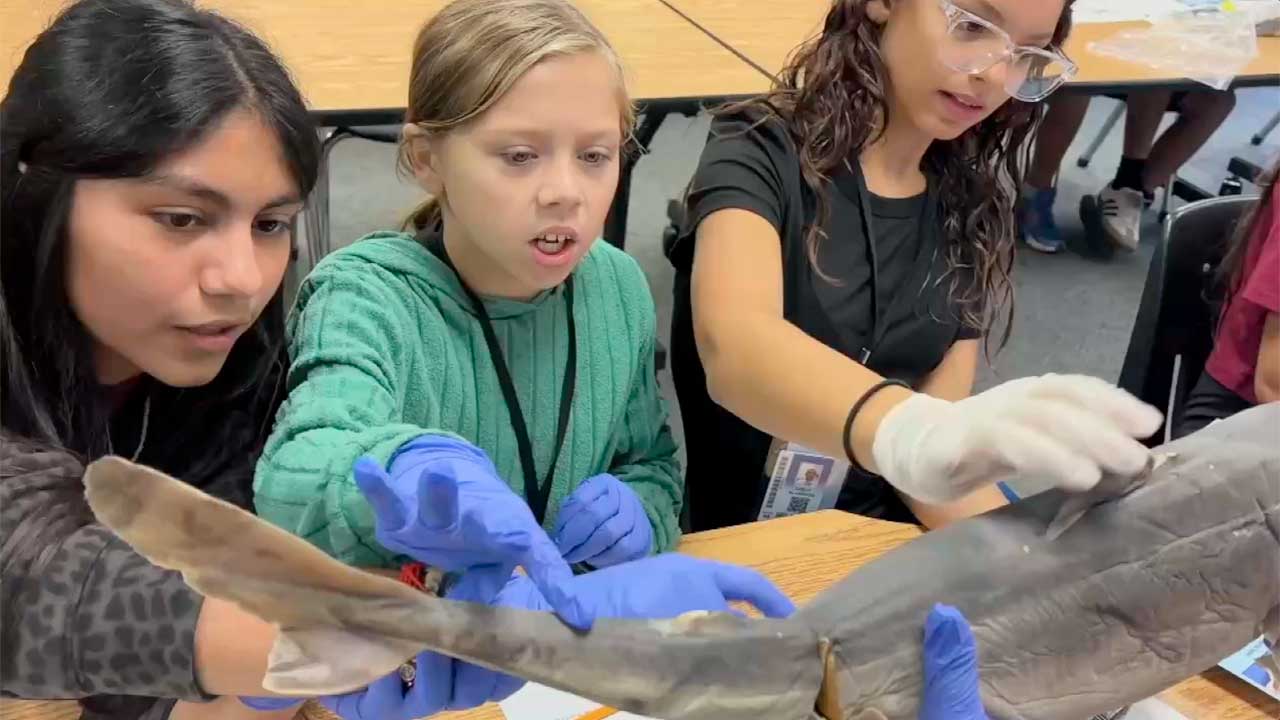 Central Elementary School in Okeechobee is now the only public school in the county to be named a Guy Harvey Conservation School. 