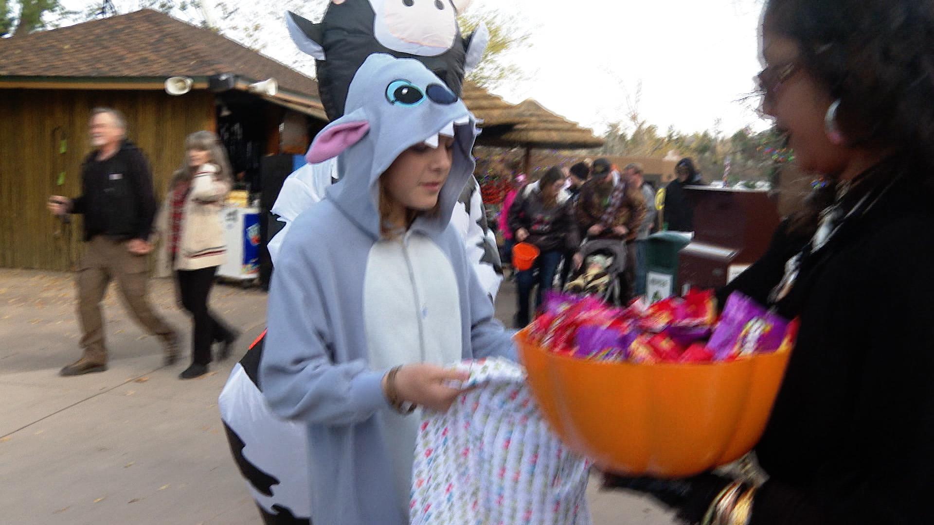 Boo at the Zoo: a Colorado Springs Halloween tradition.jpg