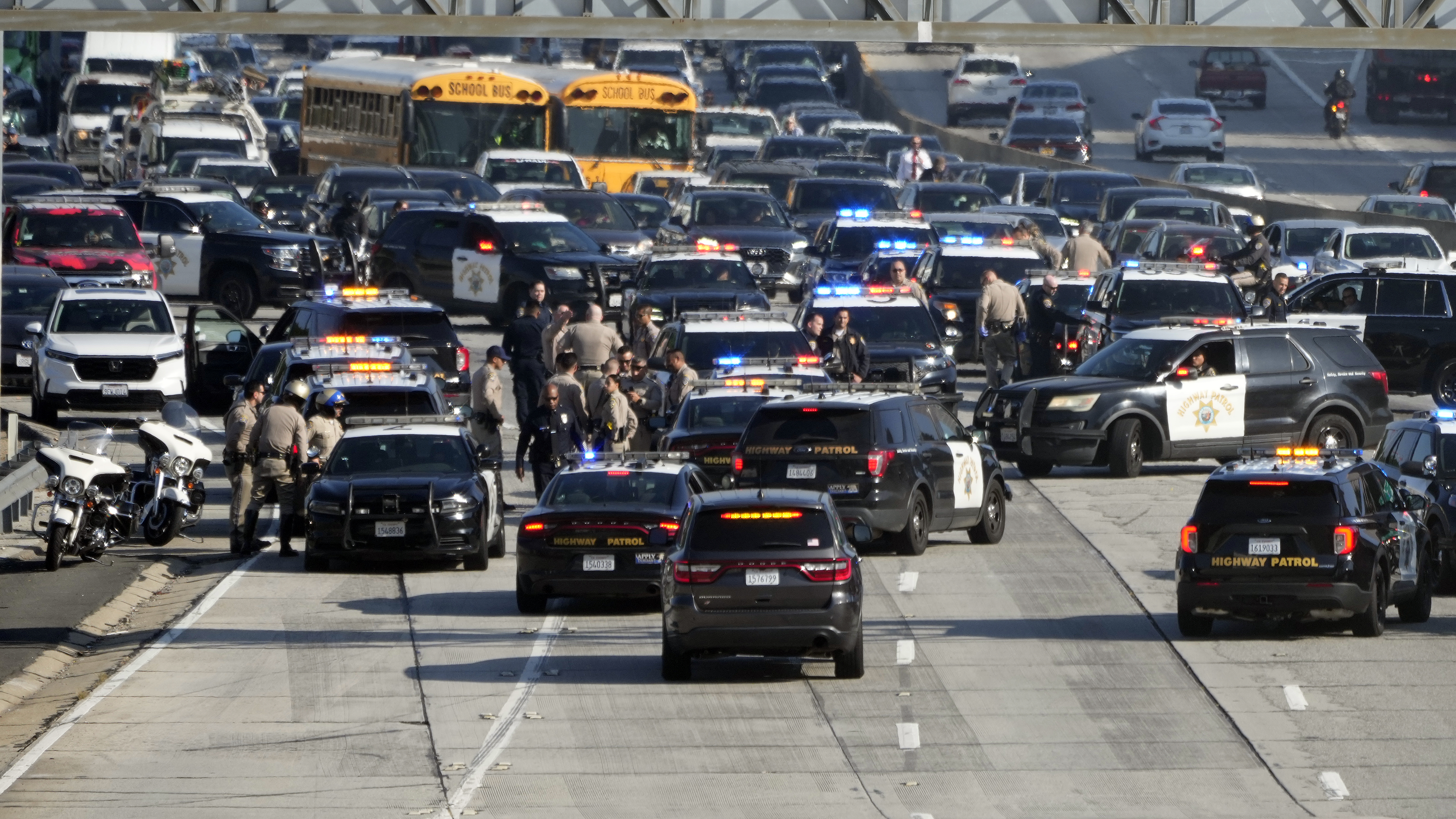 Los Angeles Freeway Protest Shutdown