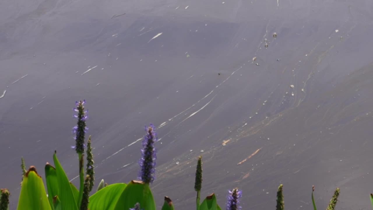 FILE — Sewage spill in Virginia 