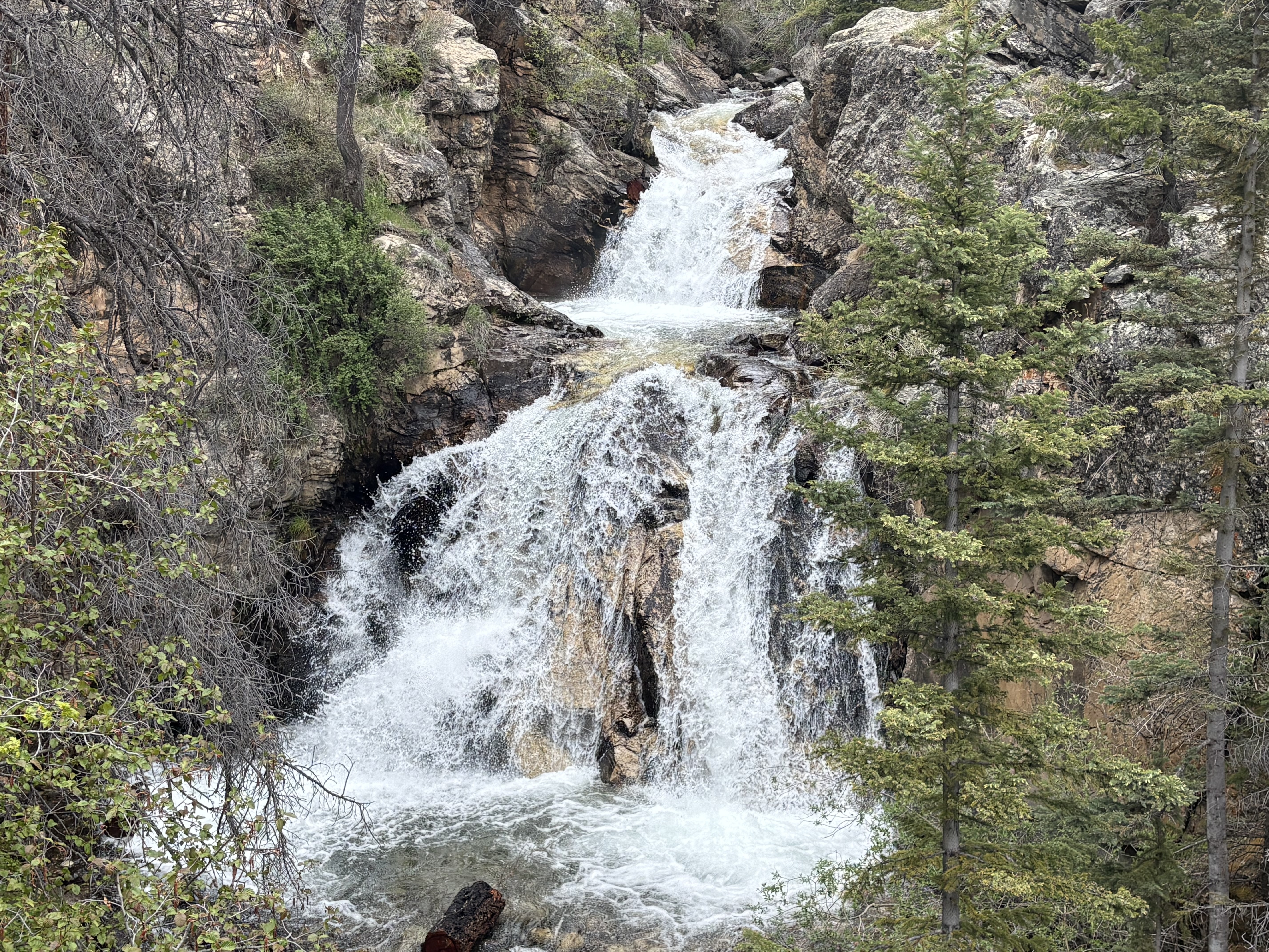 Shavano Falls near Salida_Deb Stanley