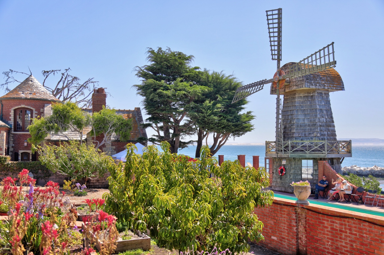 Chapman Estate Foundation.