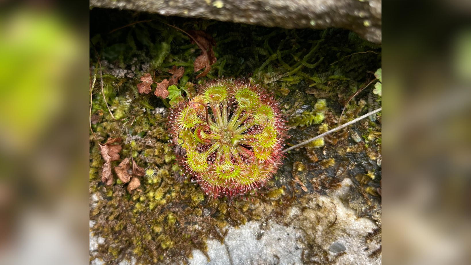 Untitled design - 2023-11-07T114616.560.png