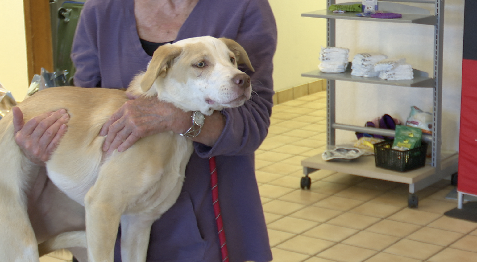 OAA Pet Food Pantry.png