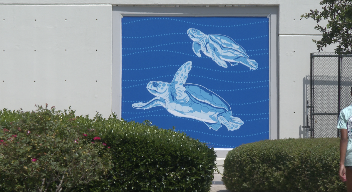 Virginia Aquarium