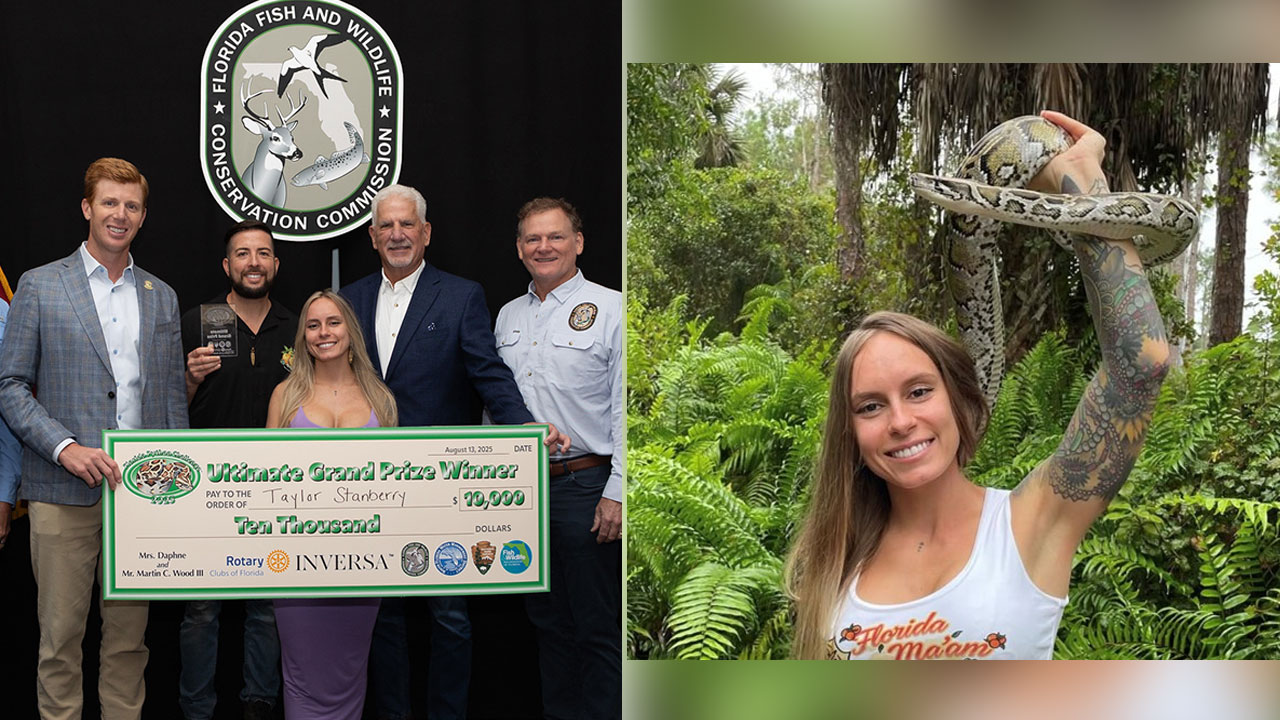 Taylor Stanberry is the winner of the Florida 2025 Python Challenge.