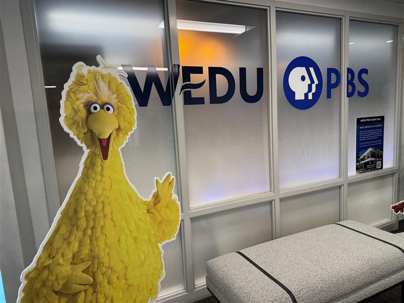 Public Broadcasting 