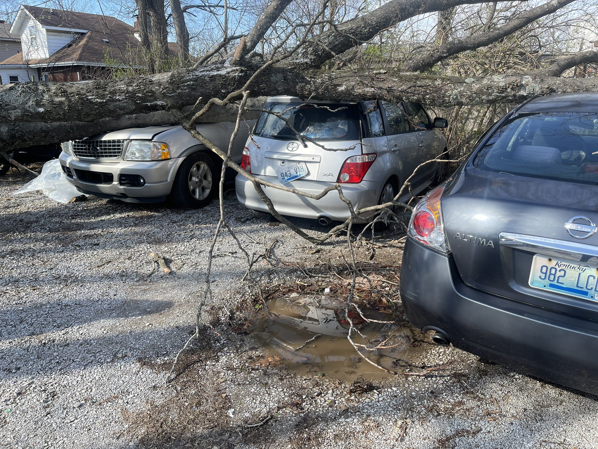 Wind damage