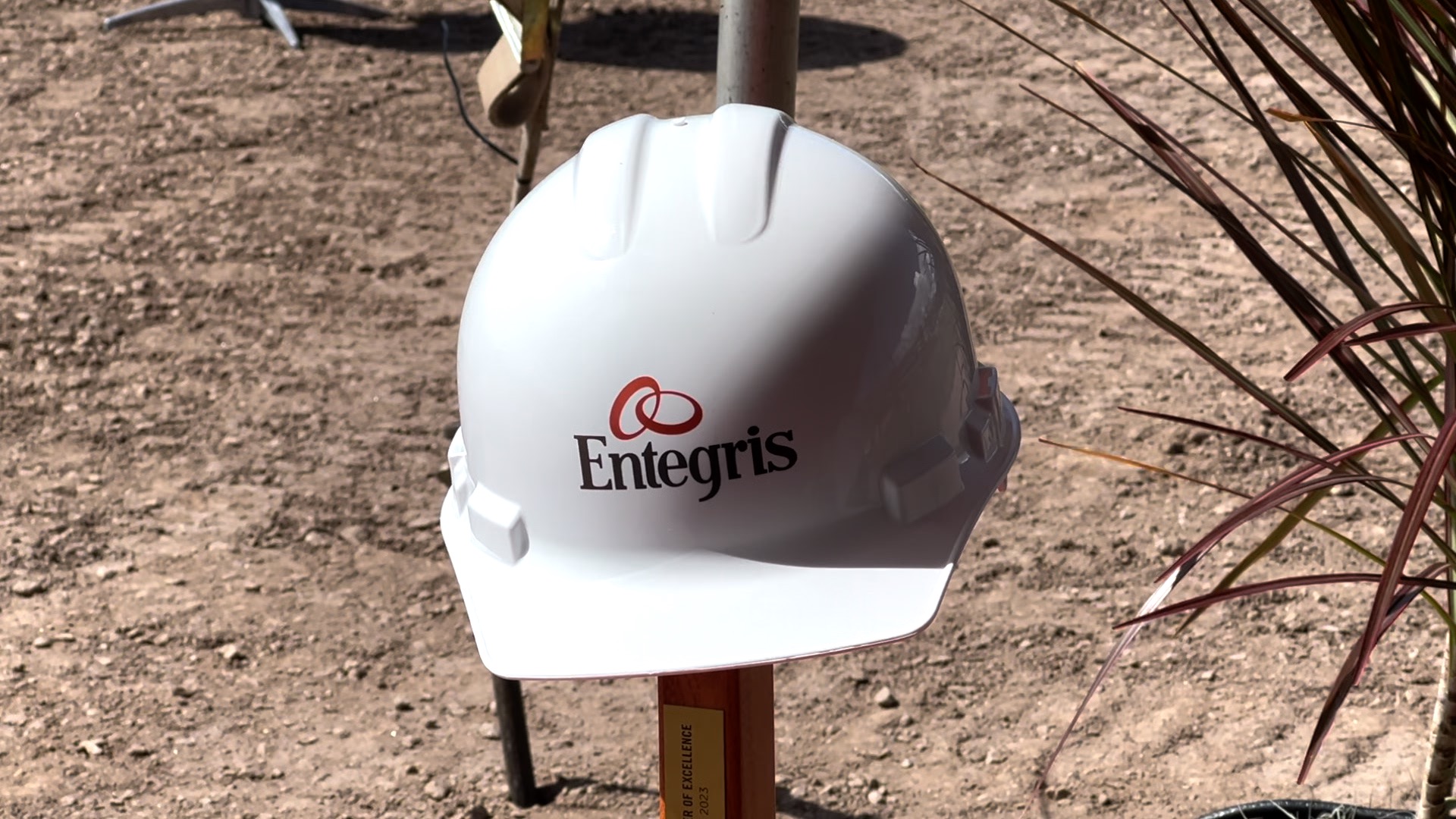 Entegris Helmet