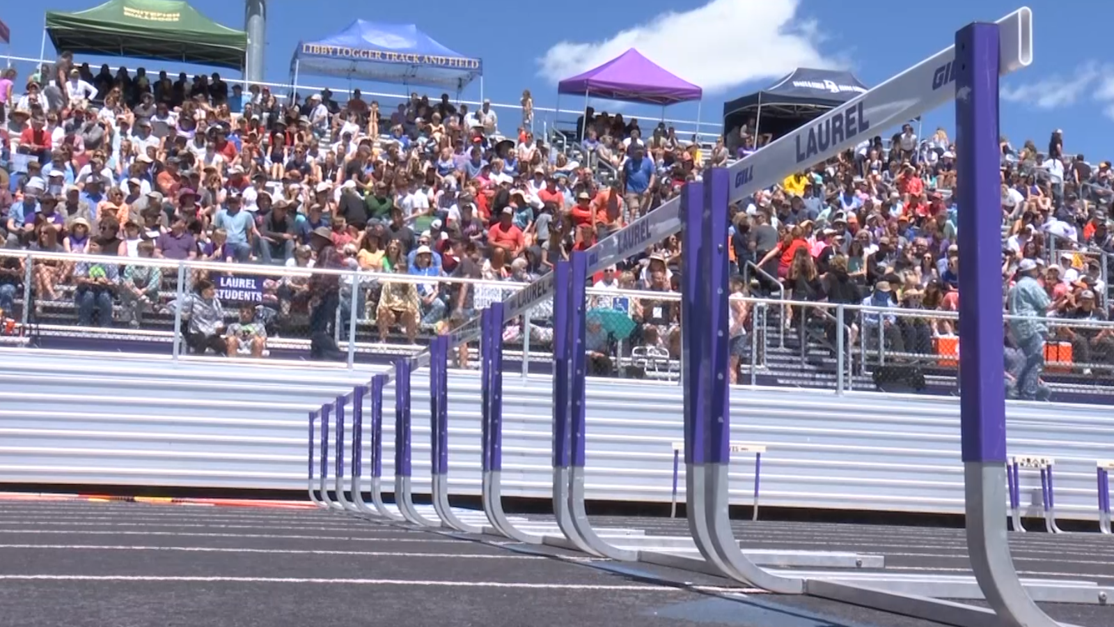 Hurdles.png