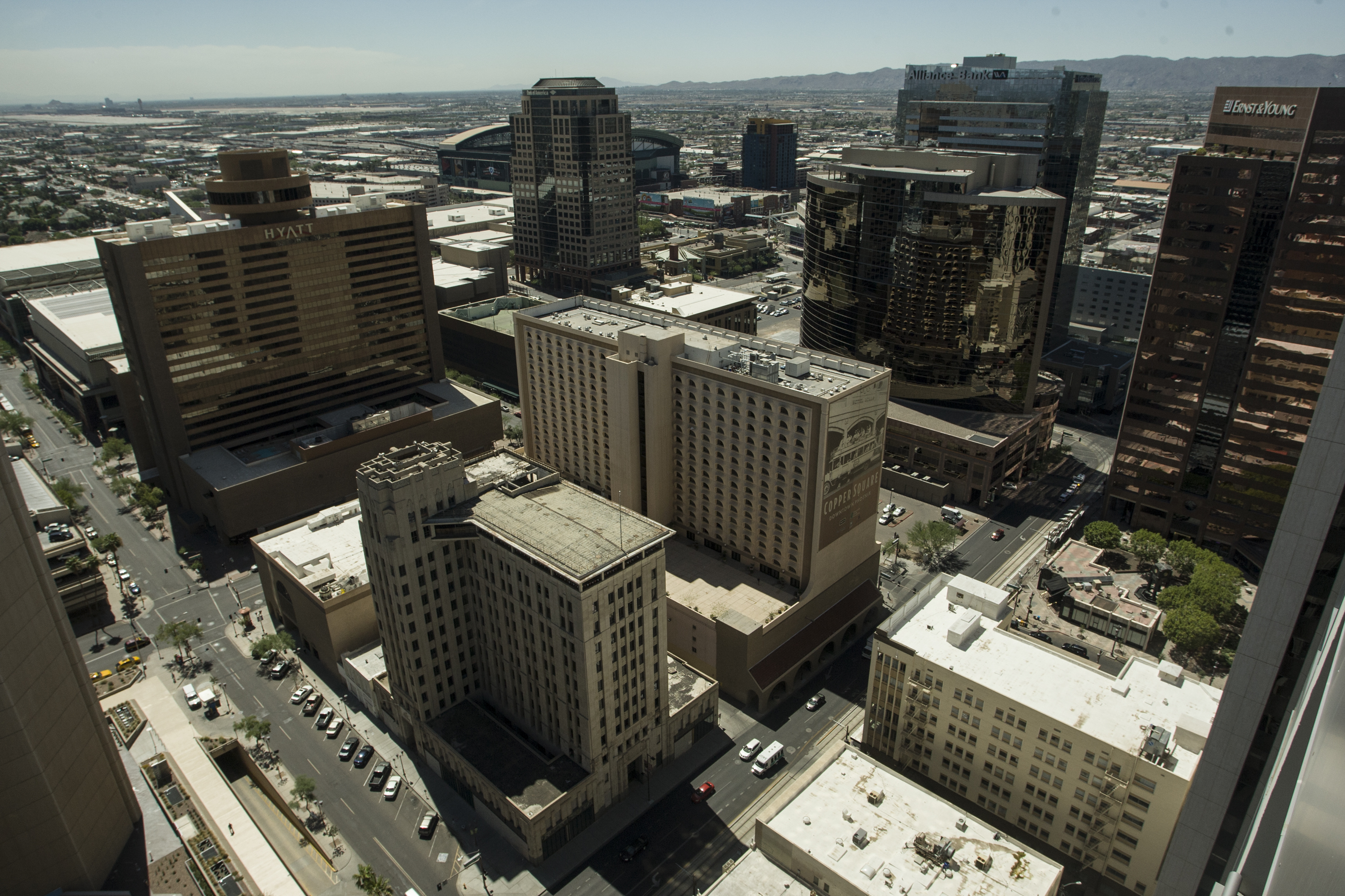 phoenix-10.jpg