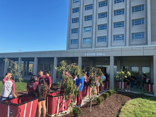ekumovein.jpg