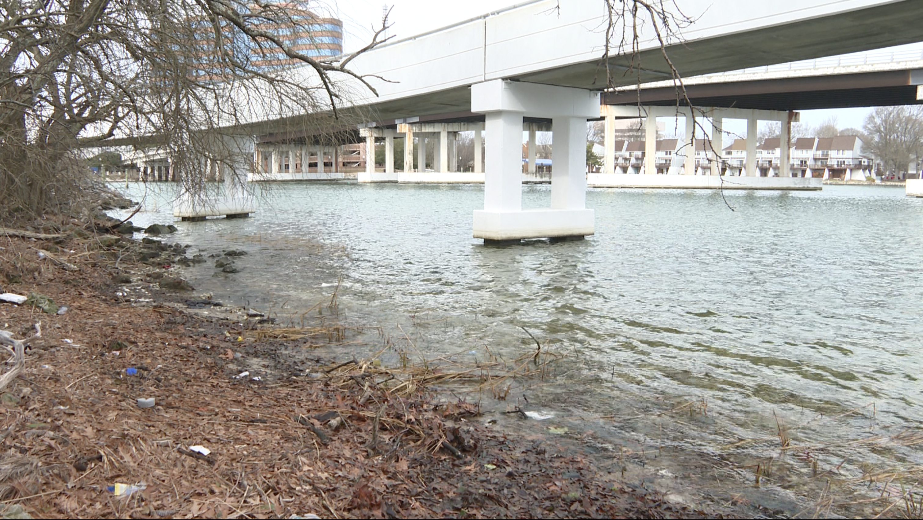 HU living shoreline 1