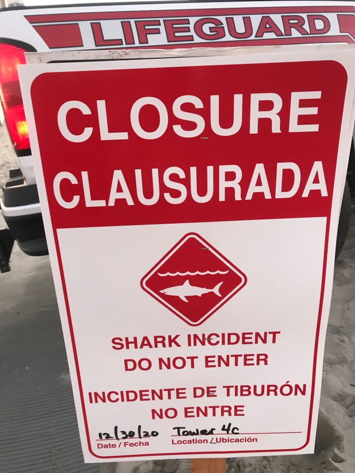 Coronado Beach closed after juvenile shark bites swimmer's fin