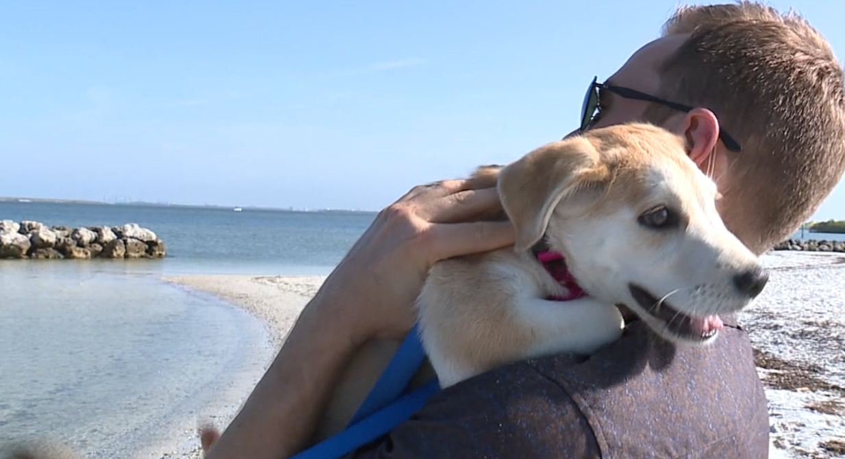 Apollo Beach Nature Preserve