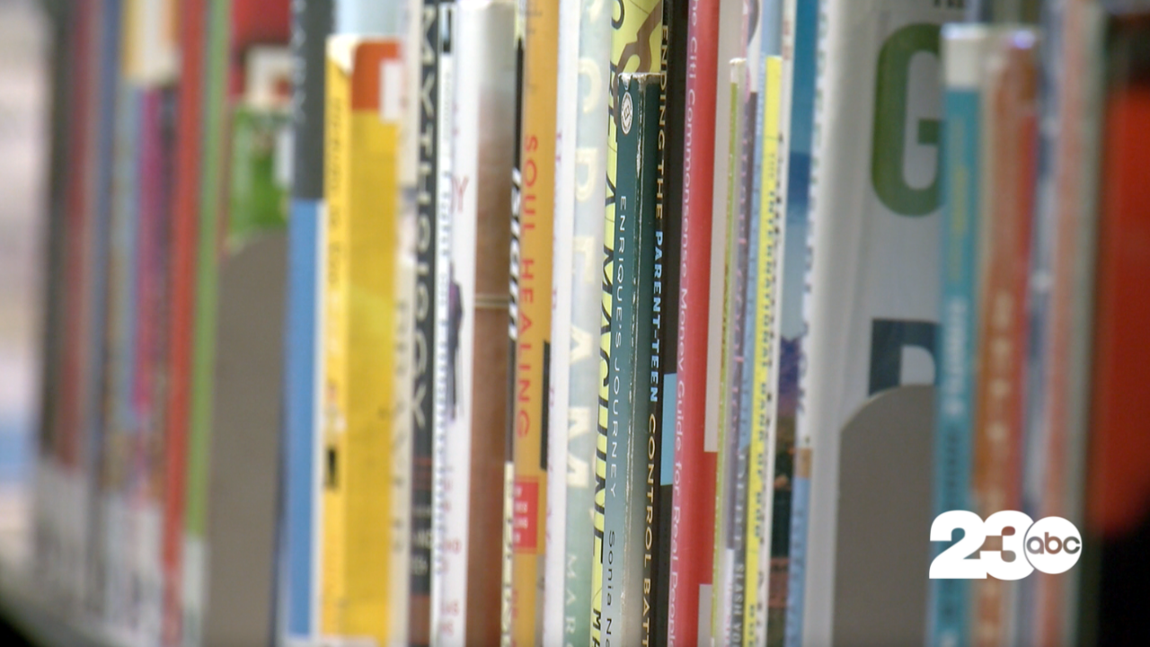 Books on a Library Shelf (FILE)