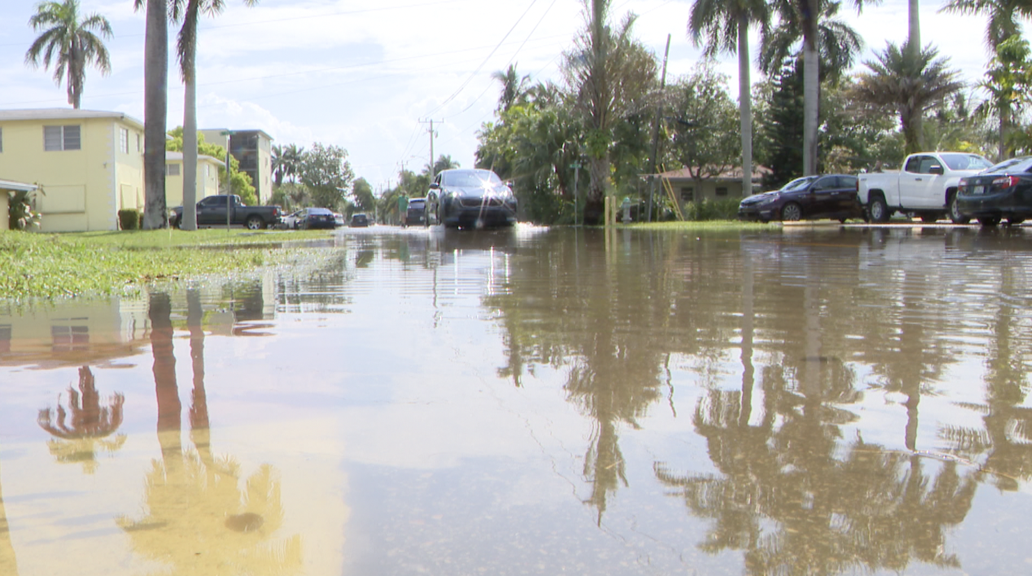 Broward County Flooding