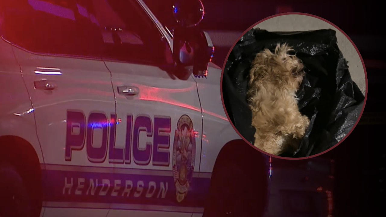 Henderson police investigate dog dumped in trash can in Inspirada neighborhood