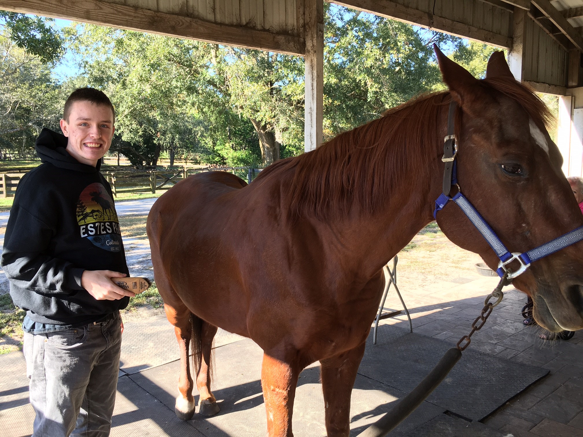 EQUINE THERAPY.jpg