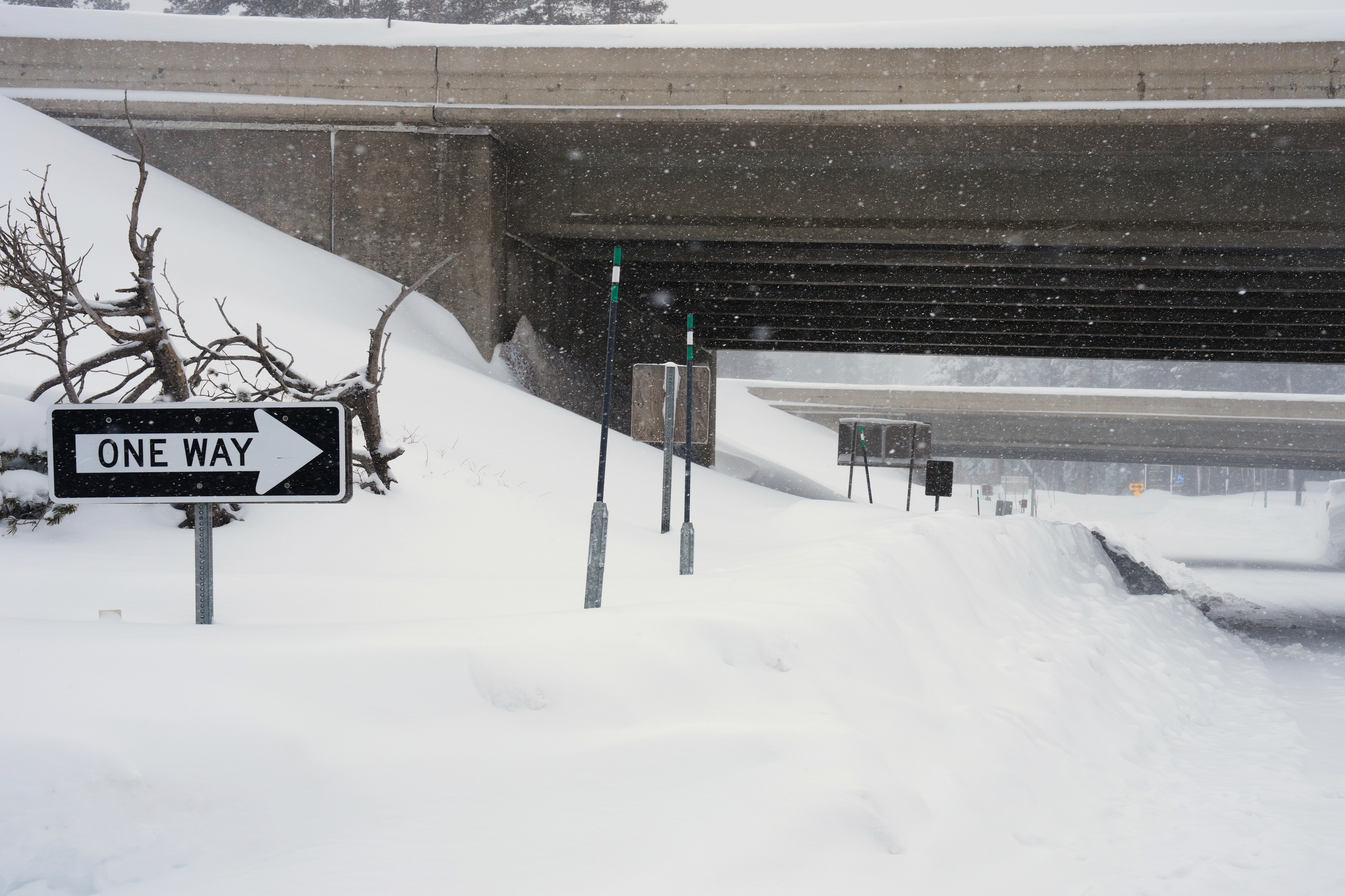 California Avalanche