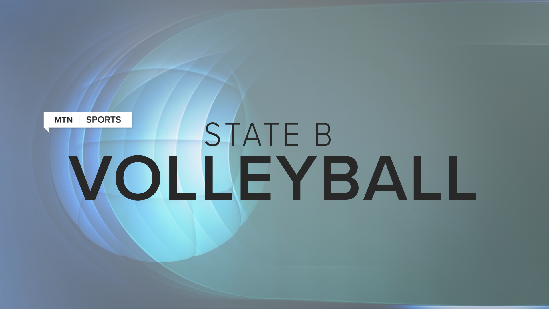 HM Sports State B Volleyball.png
