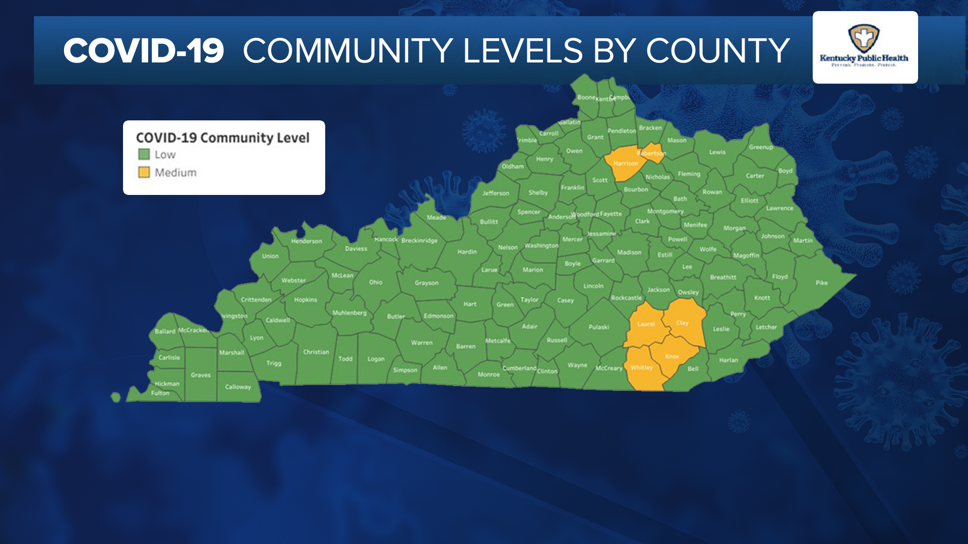 4-1 SAYER COVID COUNTY MAP.jpg