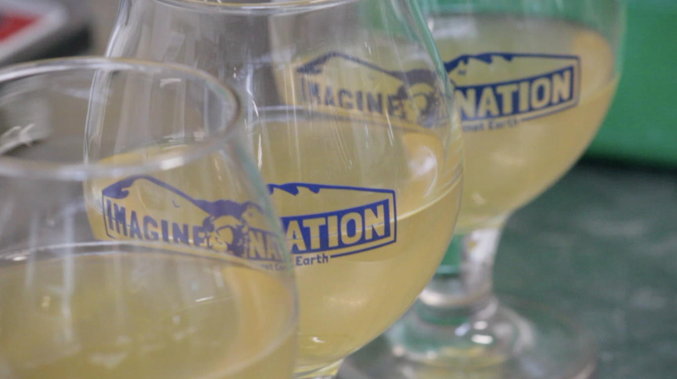 Imagine Nation NA Beer