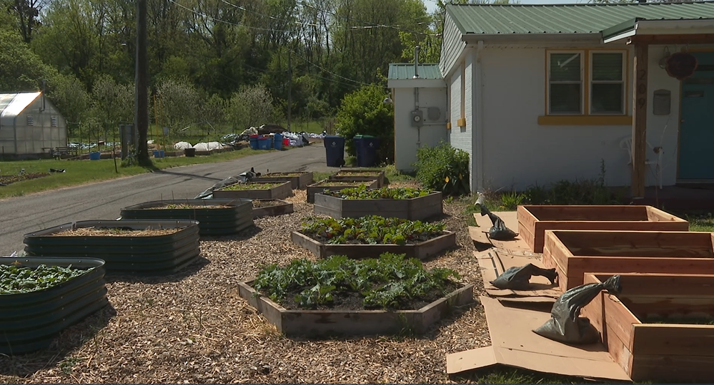 Victory Garden Blitz