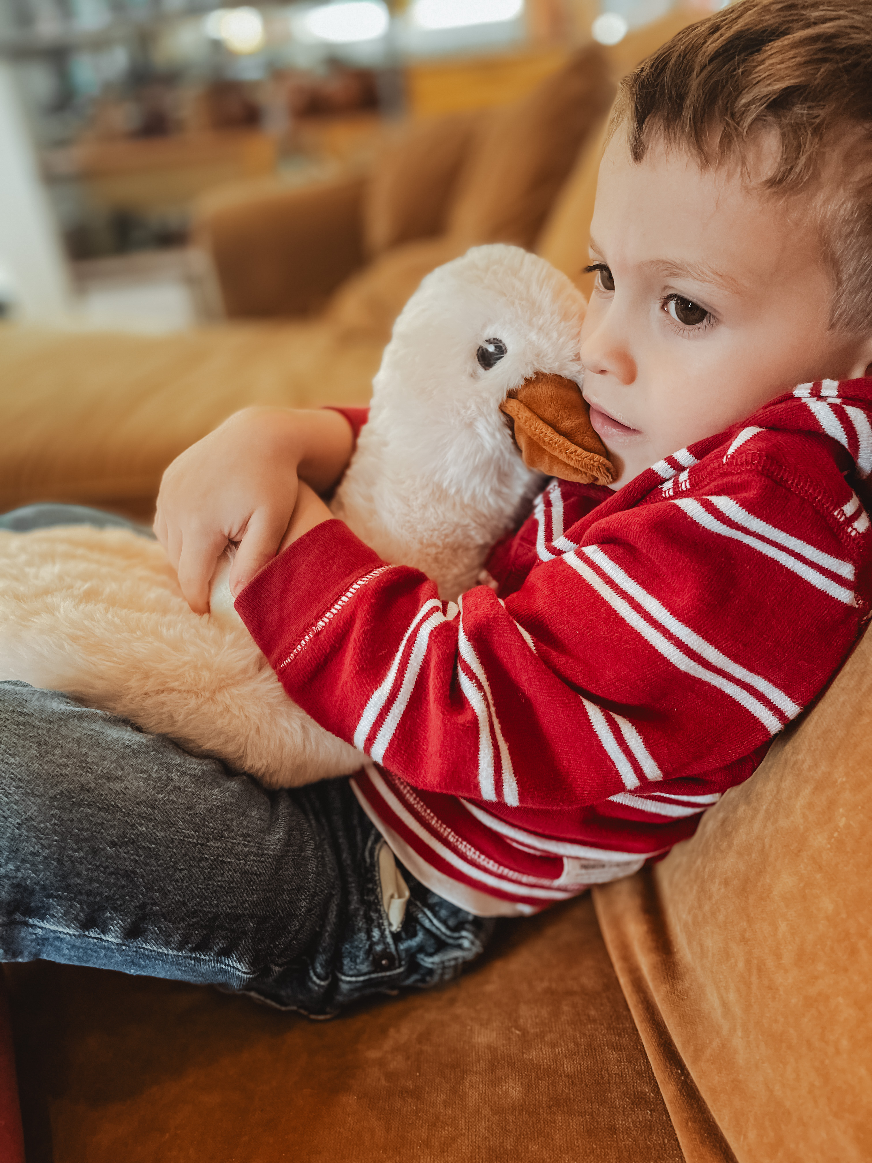 Xander Friend - Lavender-filled plush given to foster care children
