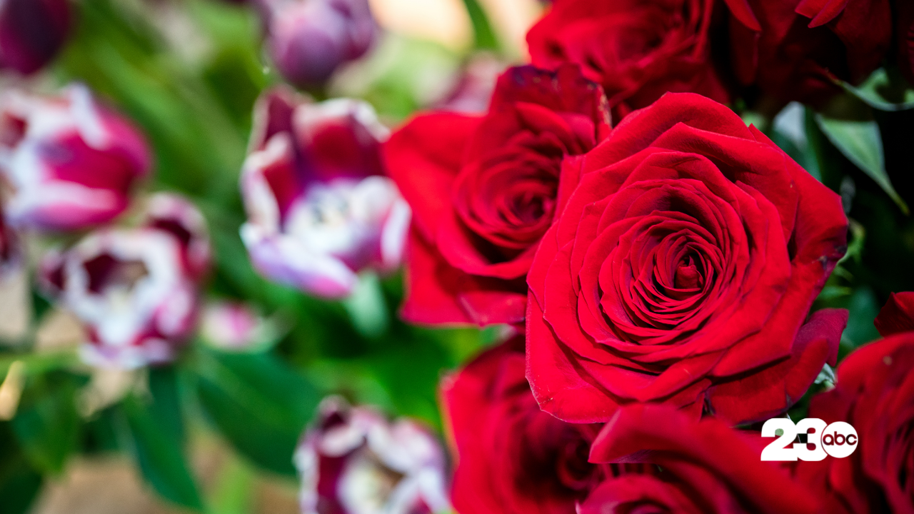 Valentine's Day flowers (FILE)