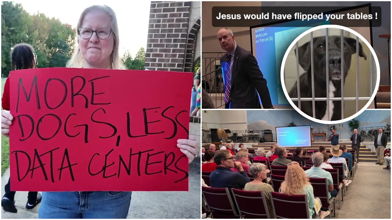 Tension runs high as Hanover neighbors push back on developer over road near Humane Society