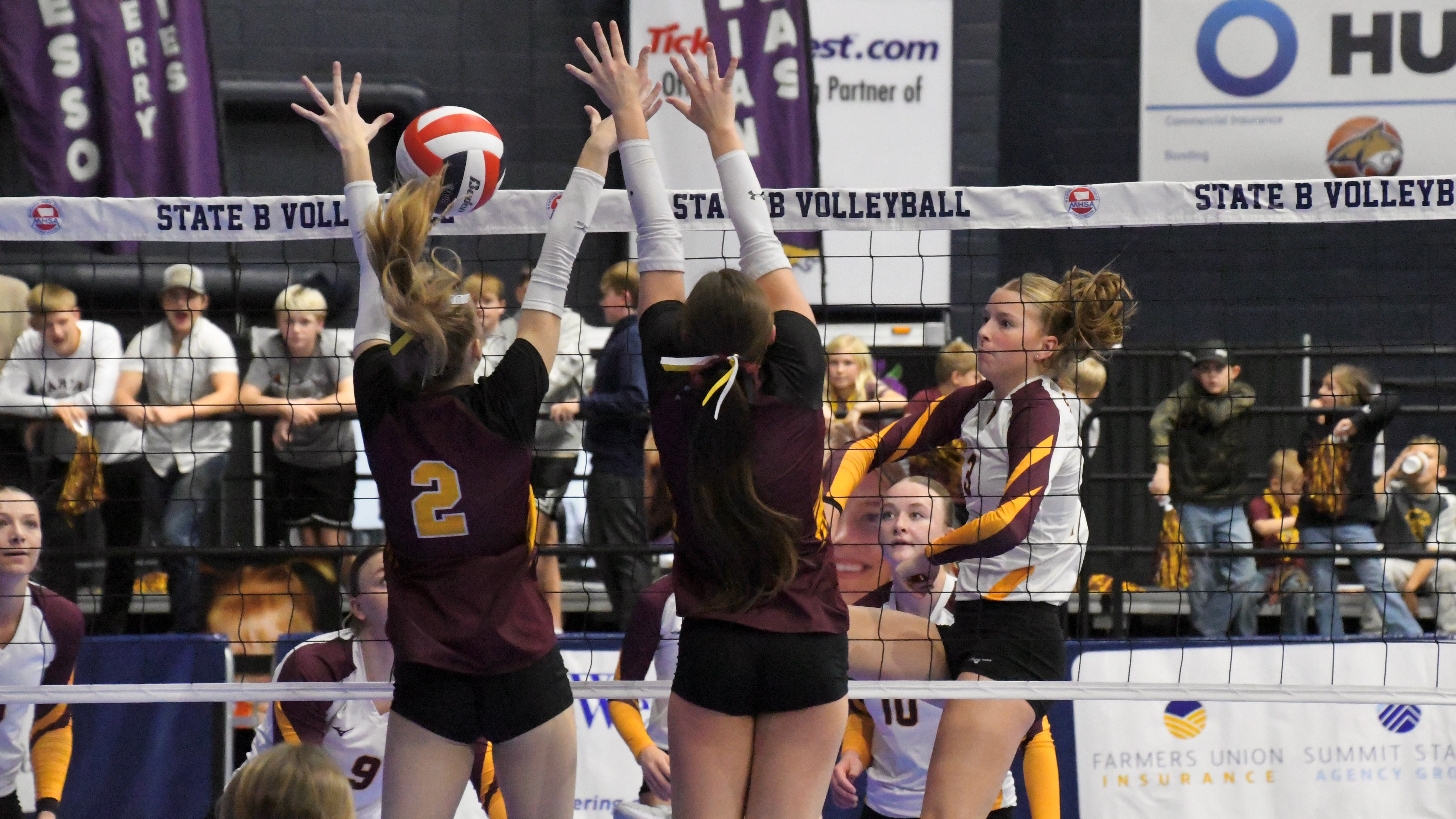 State volleyball