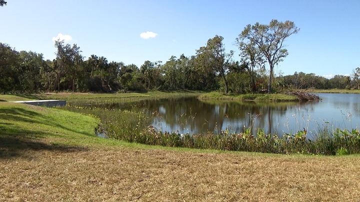 Tampa opens new park meant to also help prevent flooding 