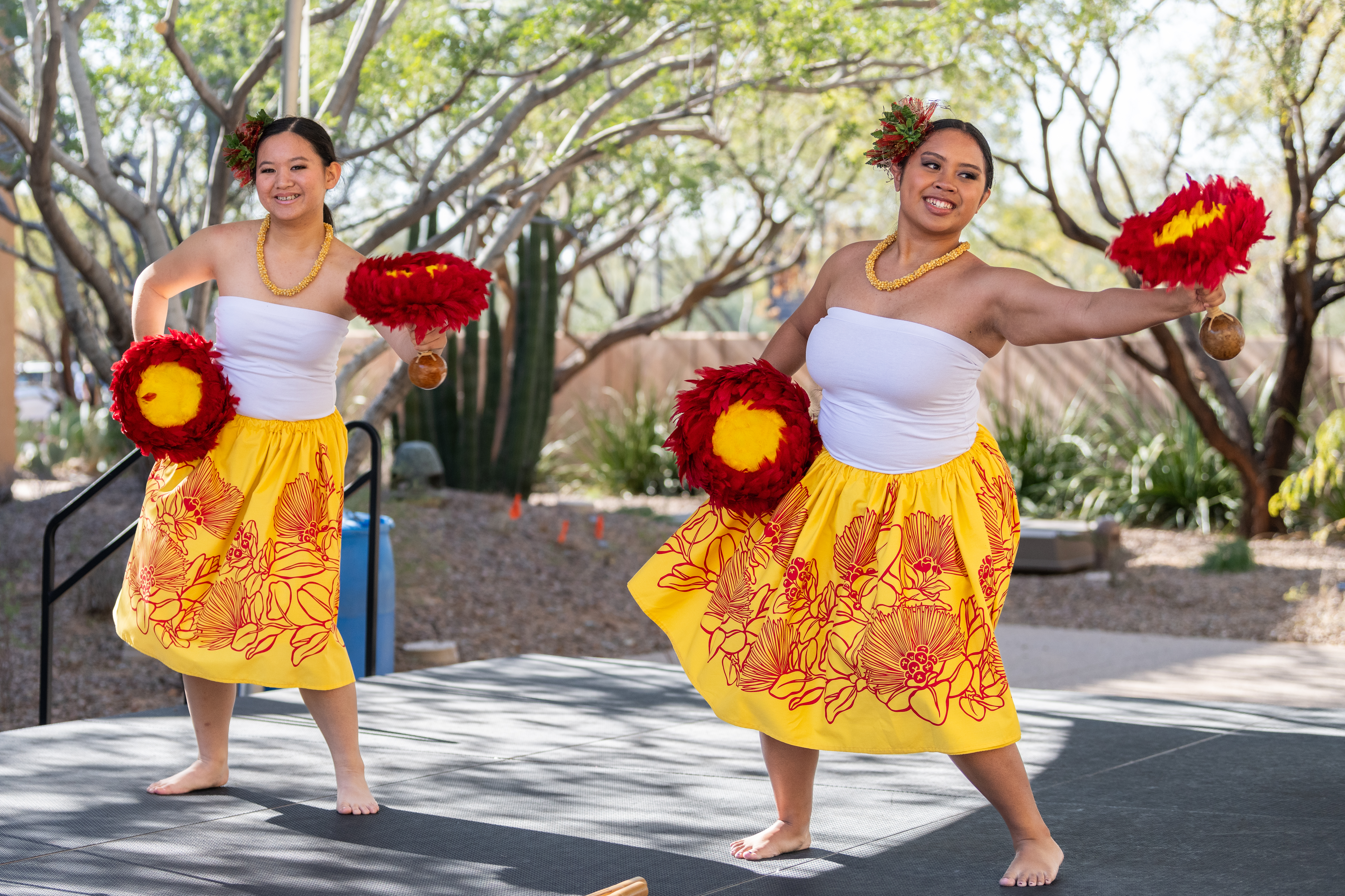“Experience Polynesia”  at the Musical Instrument Museum 