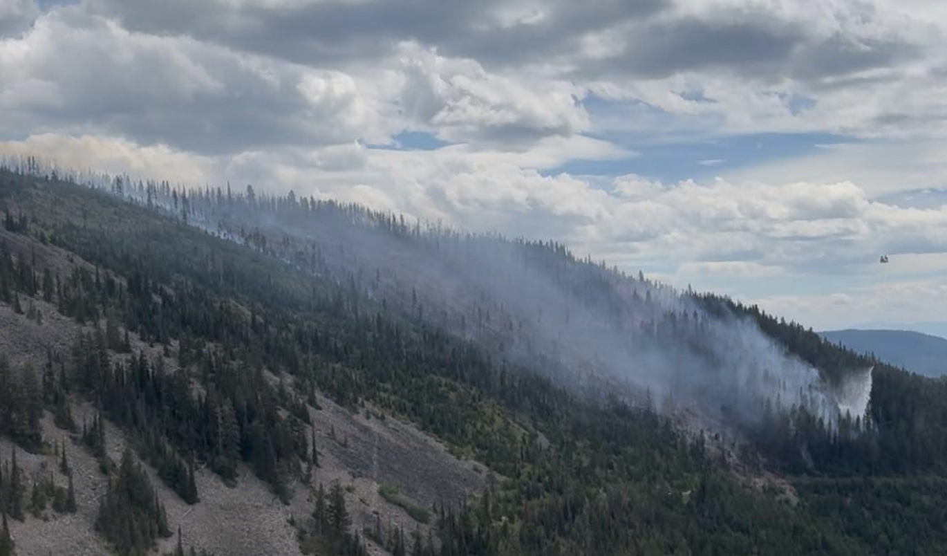 Deer Fire