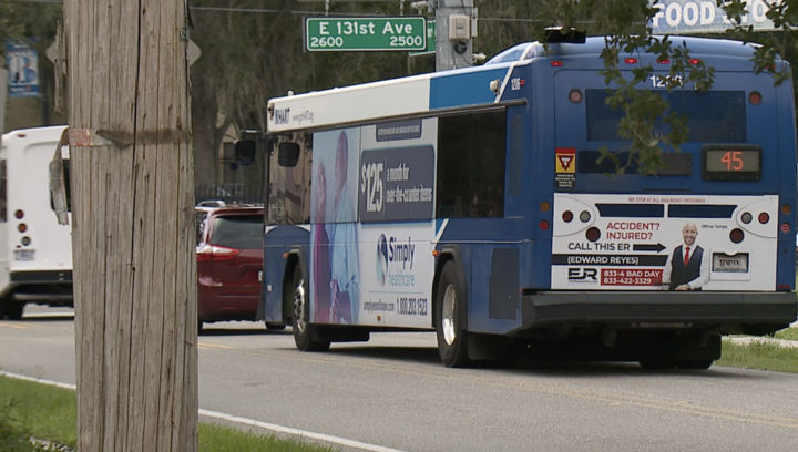 proposal could bring new free bus route to Tampa