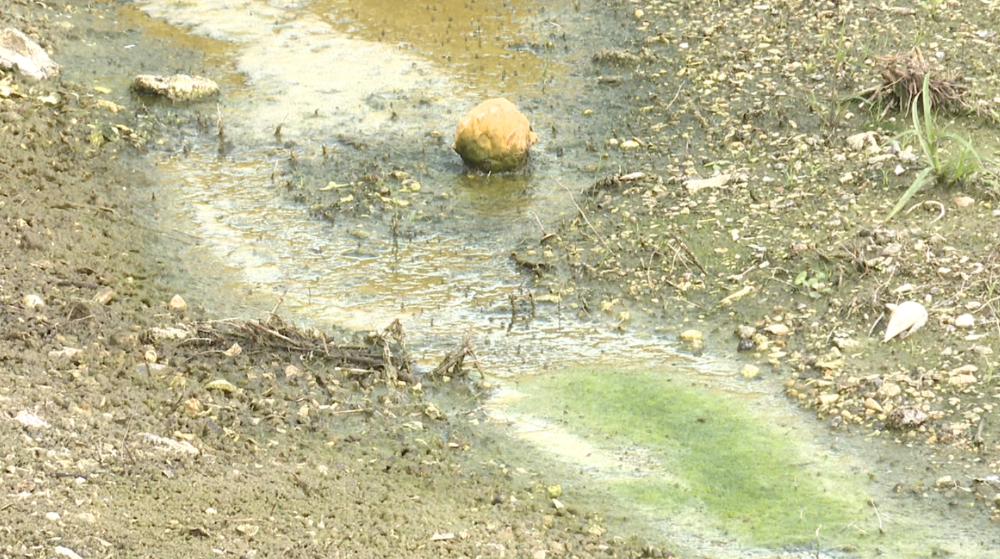 Close up of toxic water