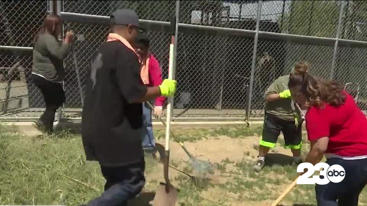 Bakersfield ARC Volunteers