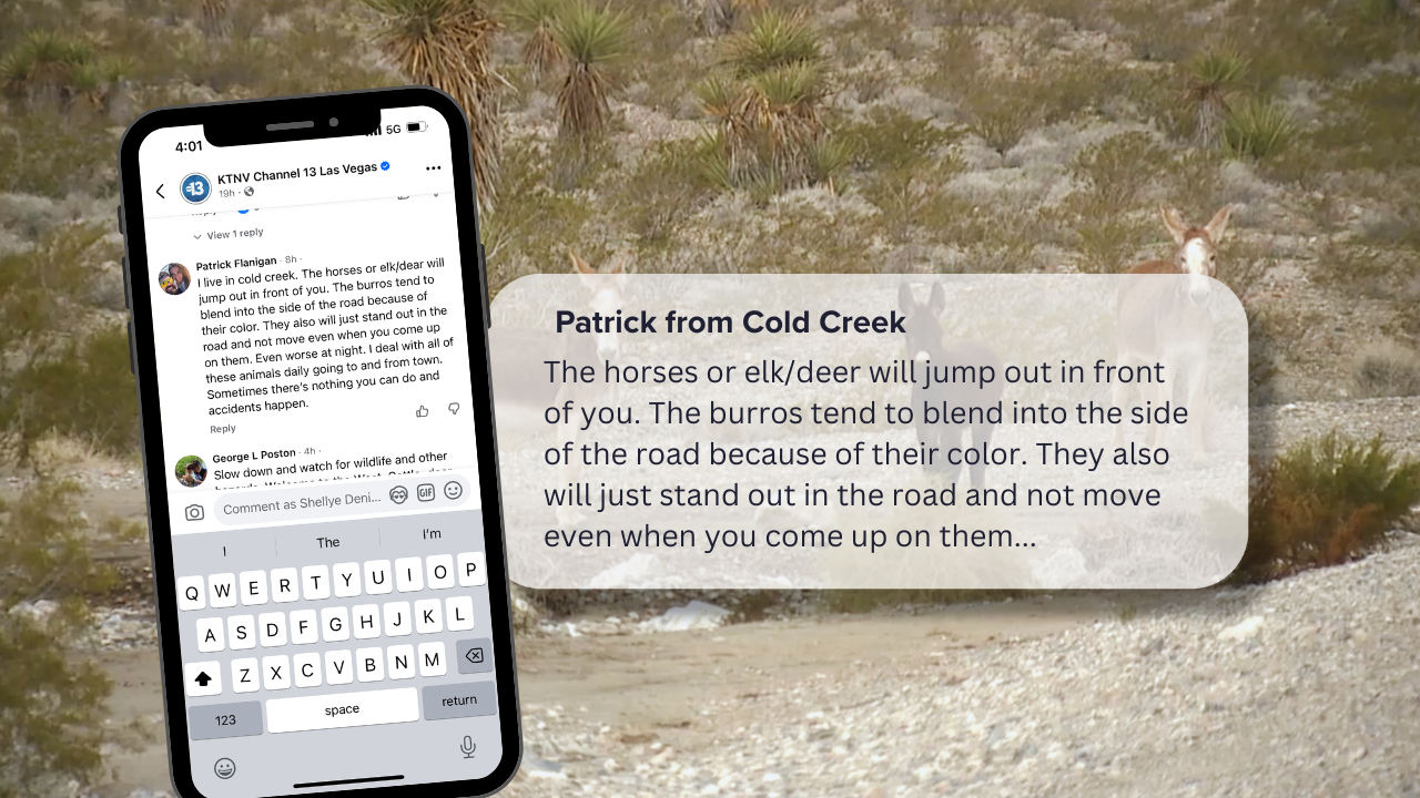 Dangerous stretch of US 95 near Corn Creek raises concerns after fatal crash