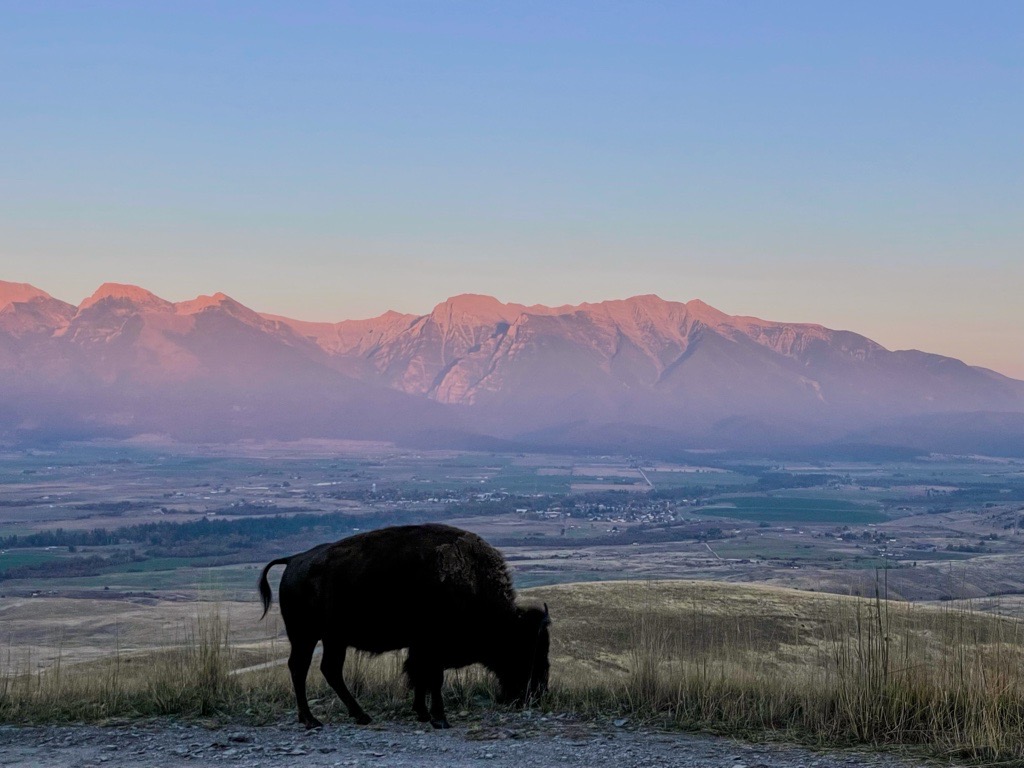 LISA SICKLES VIEWER PHOTOS 02