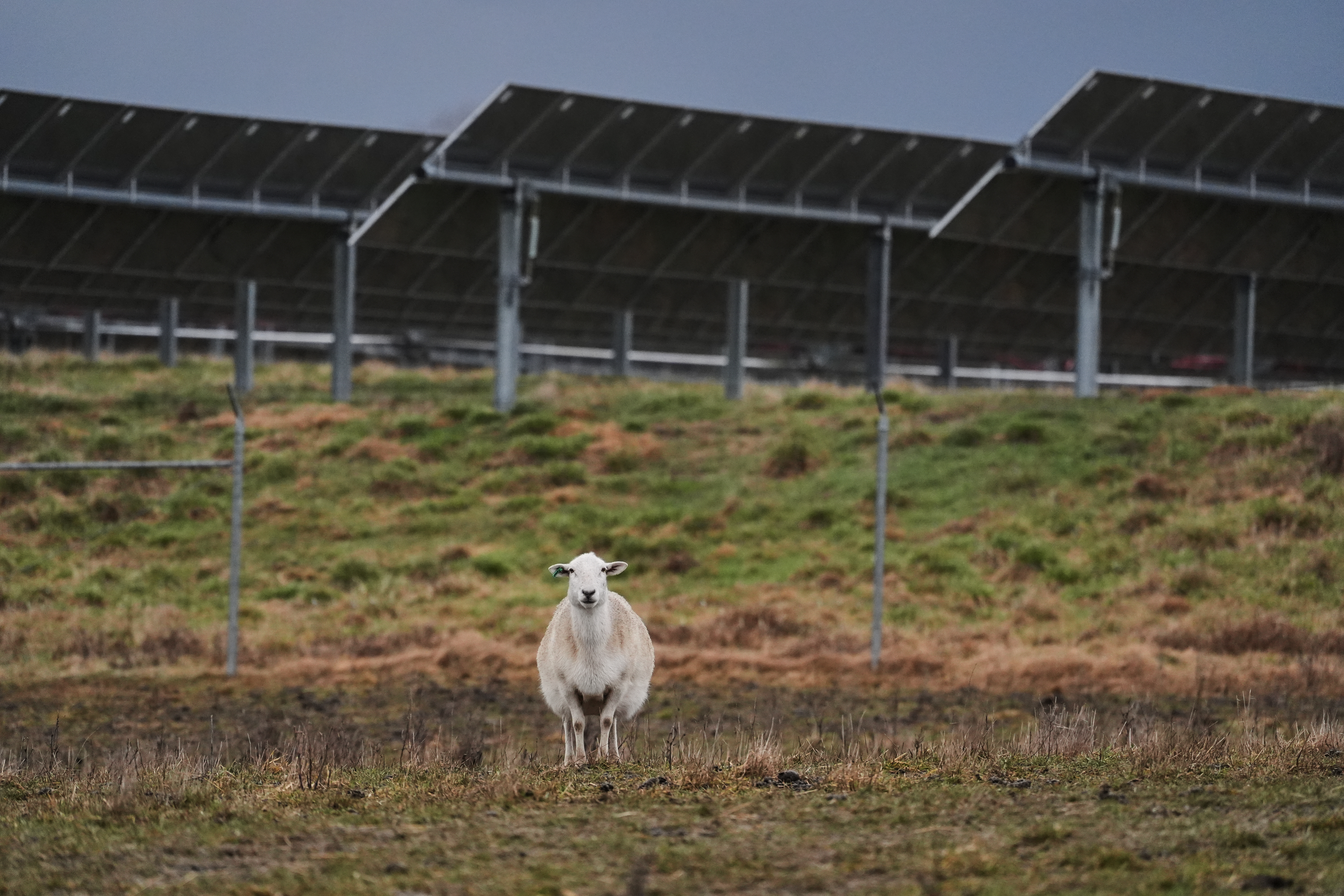 APTOPIX Climate Solar Energy Farmland