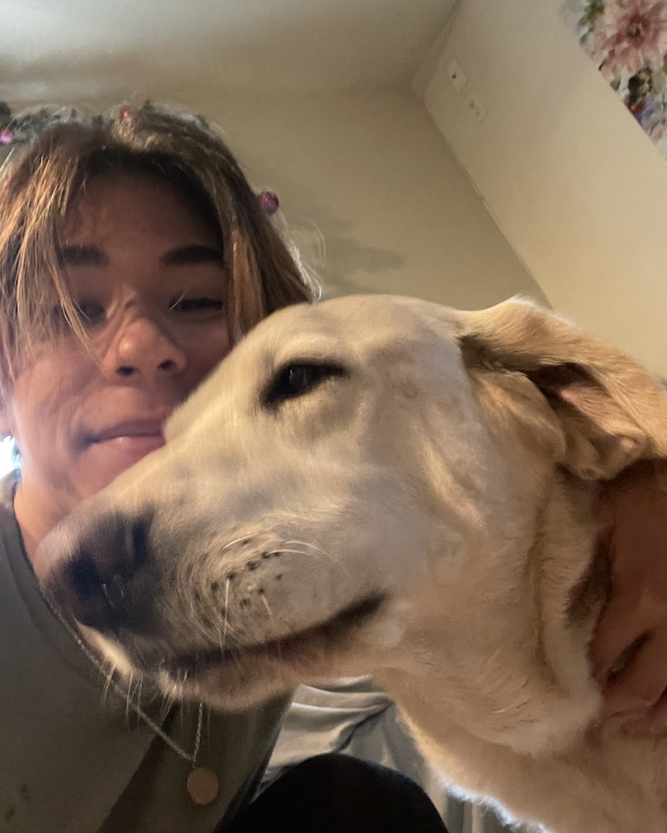 'Hero' dog who saved East County teen from rattlesnake making recovery
